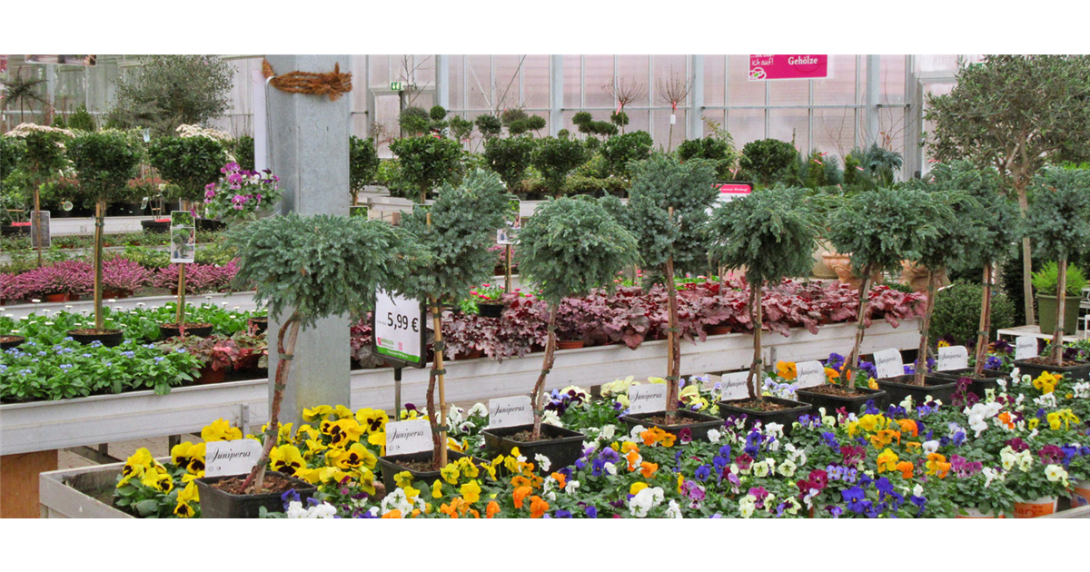 Außenbereich DBIA Bernzen Blumen Ideen