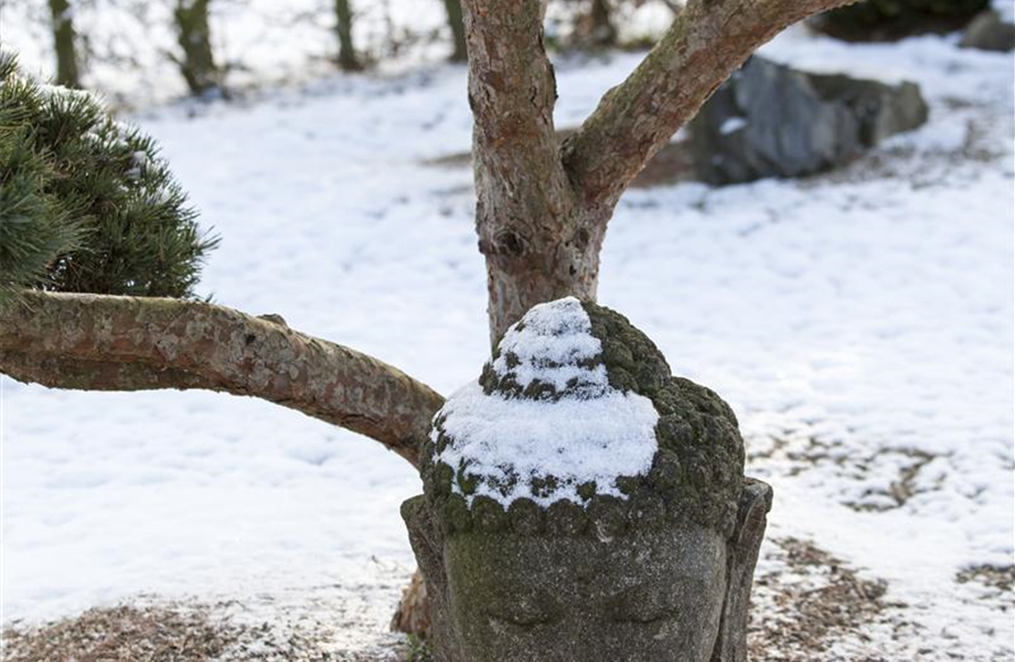 Skulpturen im Garten