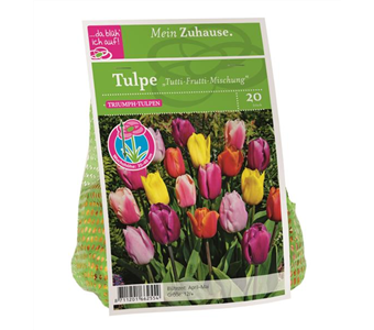 Blumenzwiebel Tulpe Tutti Frutti Mischung