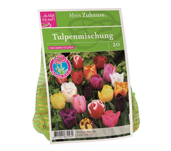 Blumenzwiebel Triumph Tulpen Mischung